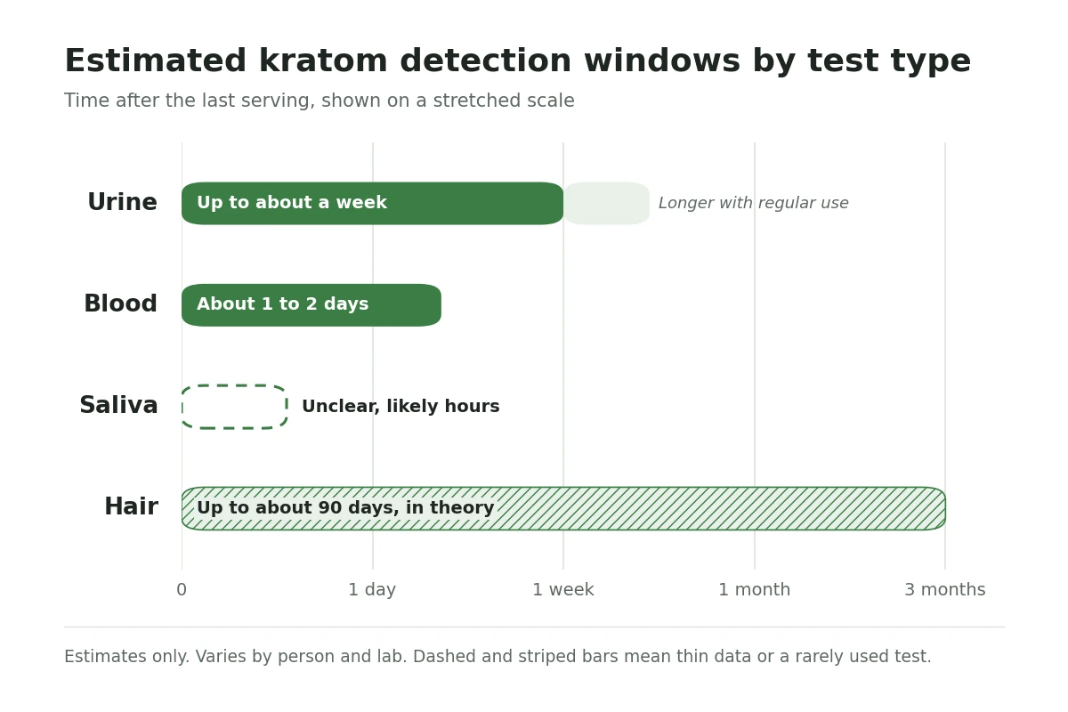 kratom detection window chart Chart of estimated kratom detection windows for urine, blood, saliva and hair tests